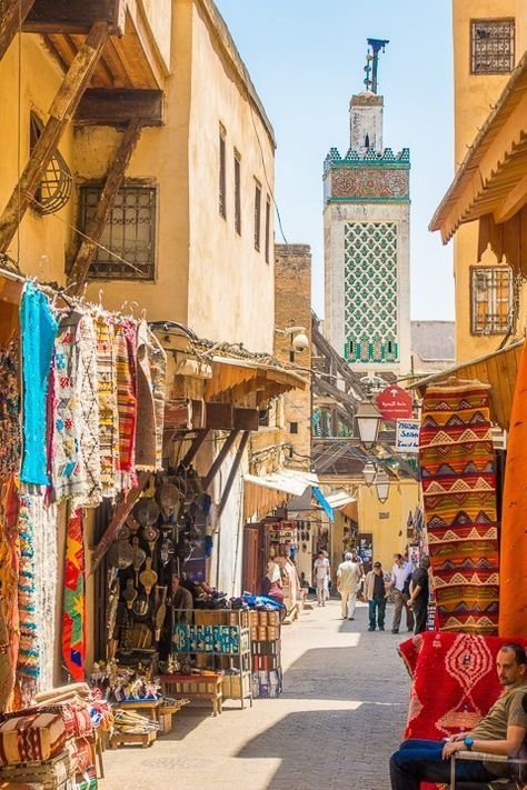 Best Things to Do in Fes