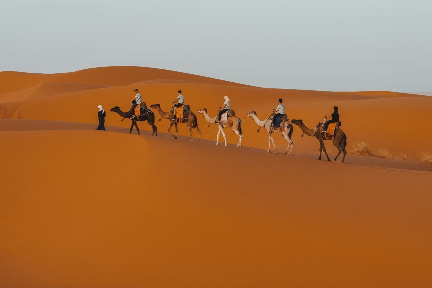 6 Day tour from Fes to Marrakech