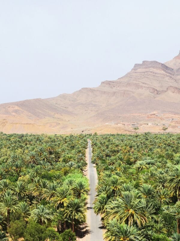 2 Day desert tour from Marrakech to Merzouga
