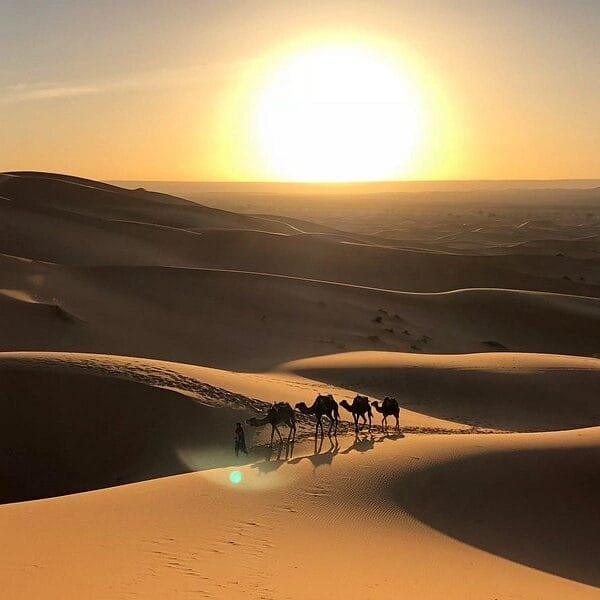 5 Day desert tour from Marrakech to Fes