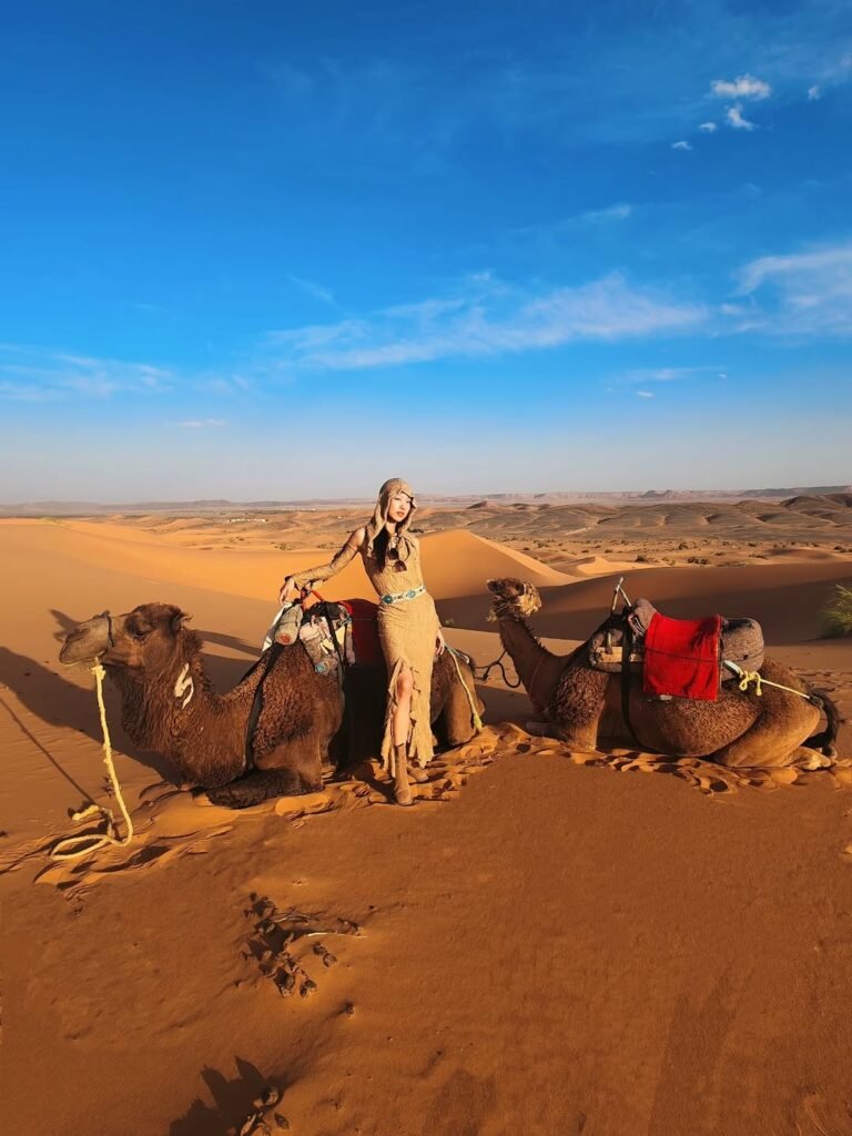 Top Morocco Tours